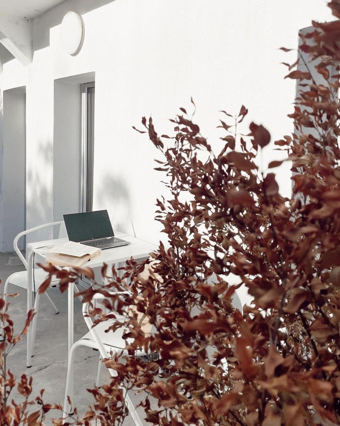 Cozy Lisbon Graca Apartment ภายนอก รูปภาพ
