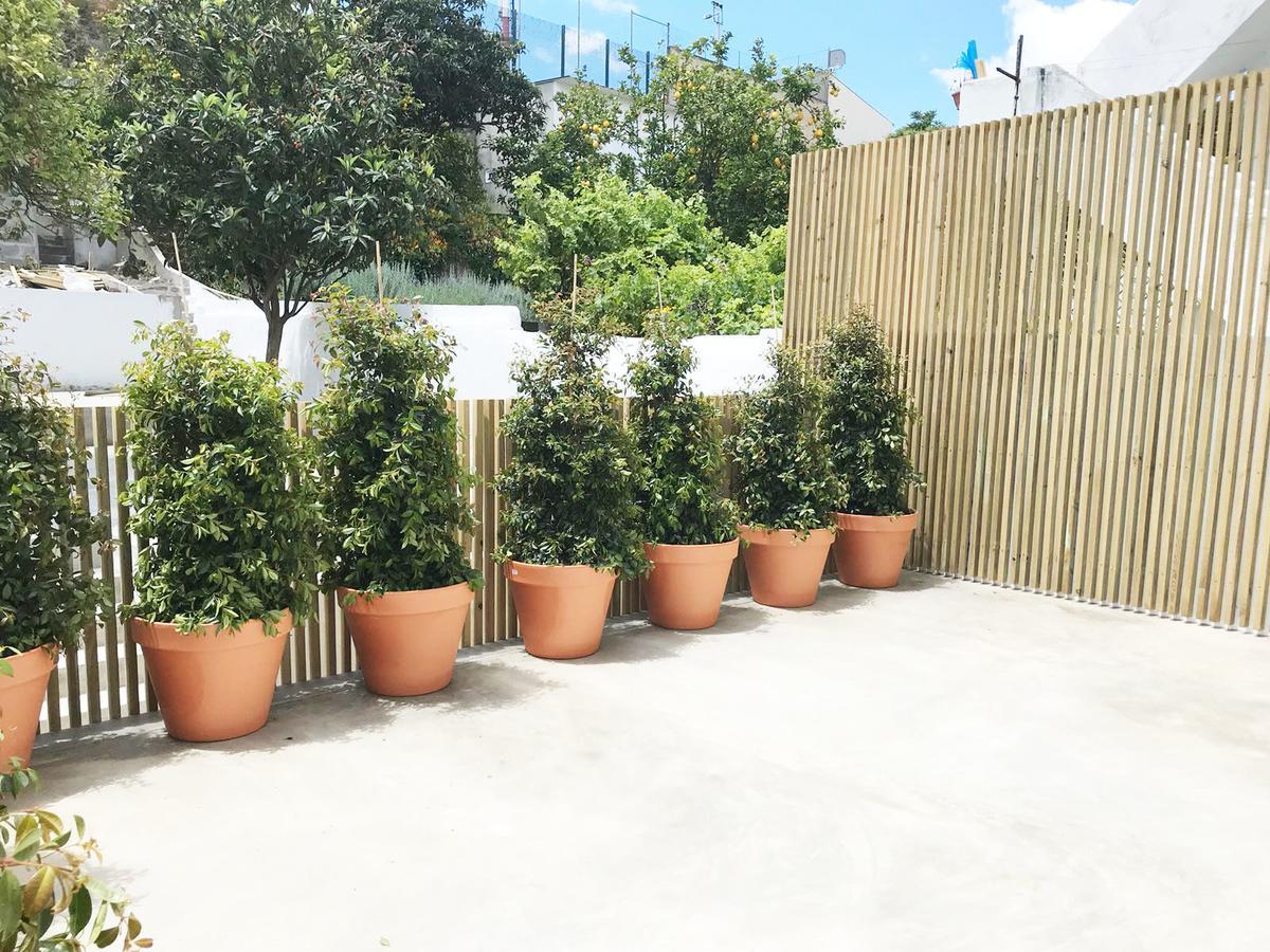 Cozy Lisbon Graca Apartment ภายนอก รูปภาพ